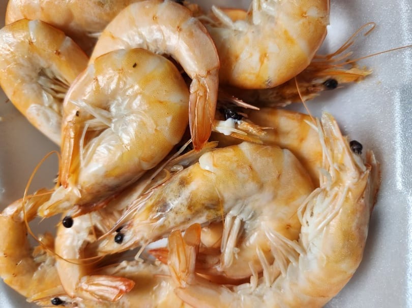 Close-up of a pile of cooked, shell-on shrimp with orange and white bodies.