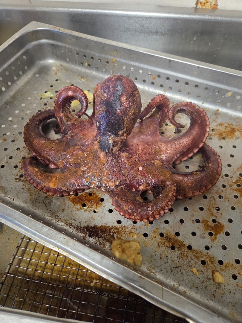 A whole cooked octopus, seasoned and reddish-brown, rests on a perforated metal tray.