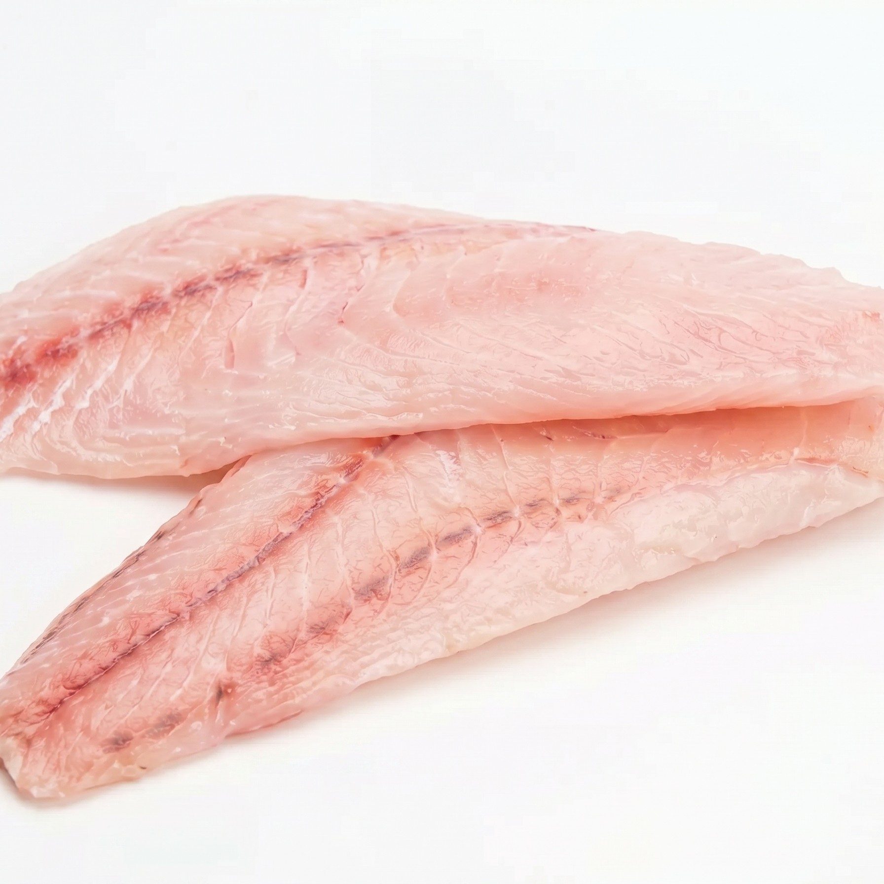 Grouper Filet.