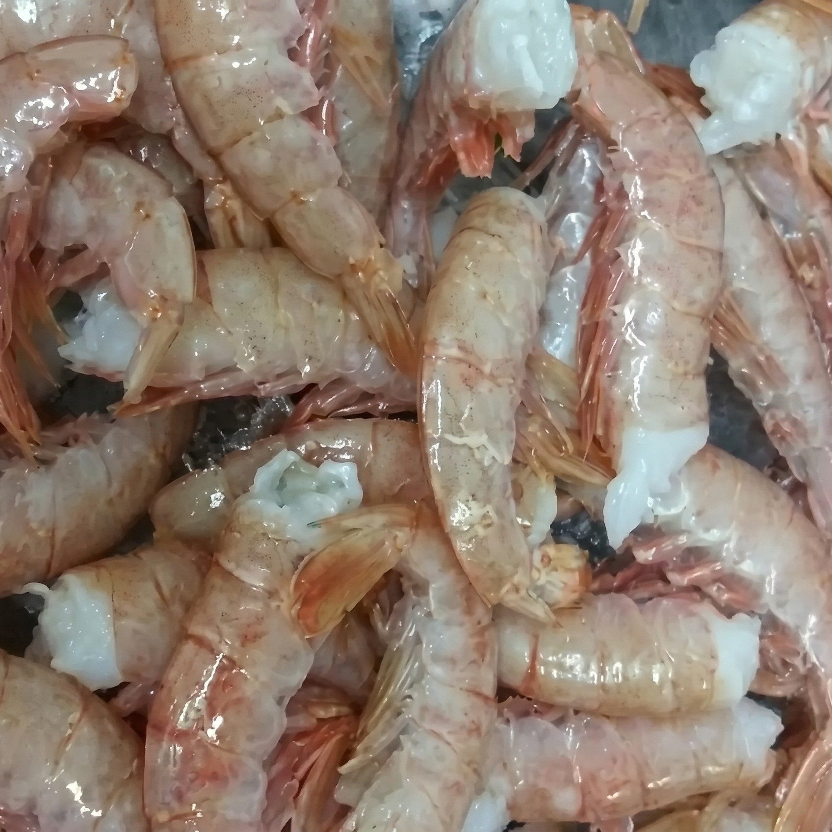 Jumbo Royal Red Shrimp.