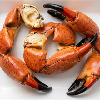 Stone Crab
